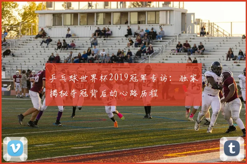 乒乓球世界杯2019冠军专访：独家揭秘夺冠背后的心路历程