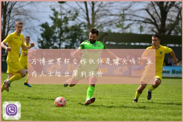 万博世界杯合作伙伴是噱头吗？业内人士给出犀利评价